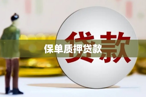 荷塘保单质押贷款