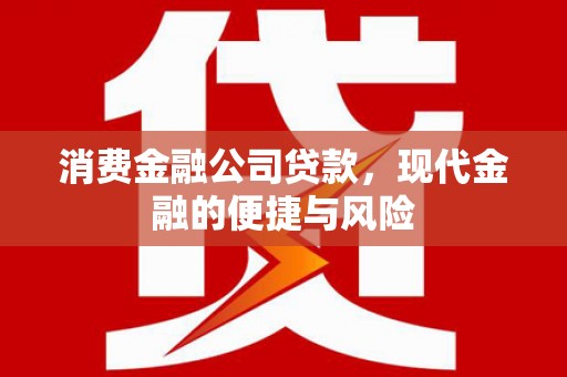 荷塘消费金融公司贷款，现代金融的便捷与风险