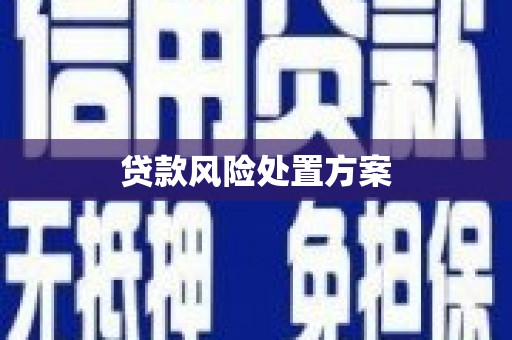 荷塘贷款风险处置方案