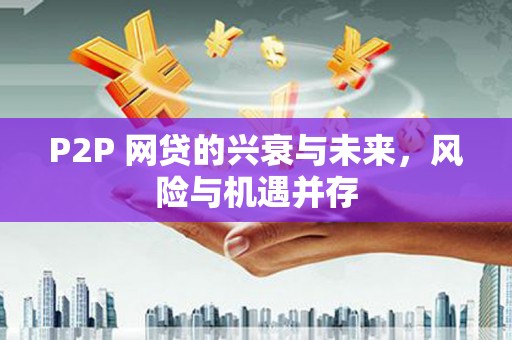 荷塘P2P 网贷的兴衰与未来，风险与机遇并存