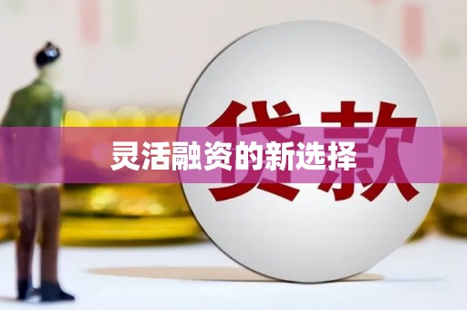 荷塘灵活融资的新选择
