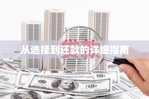 荷塘从选择到还款的详细指南