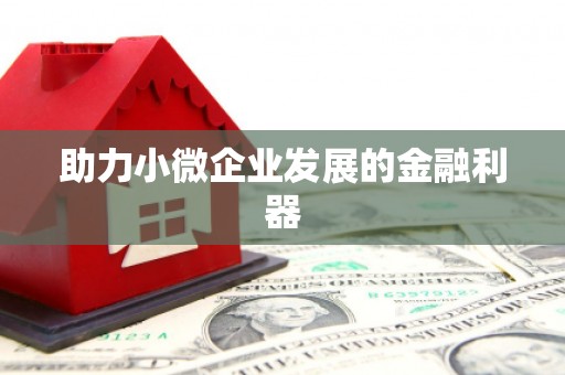 荷塘助力小微企业发展的金融利器