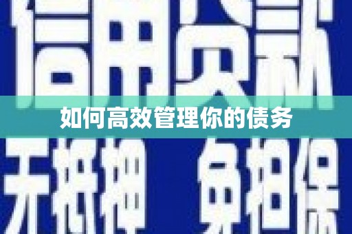 荷塘如何高效管理你的债务