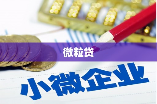 荷塘微粒贷