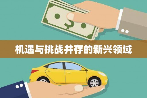 荷塘机遇与挑战并存的新兴领域