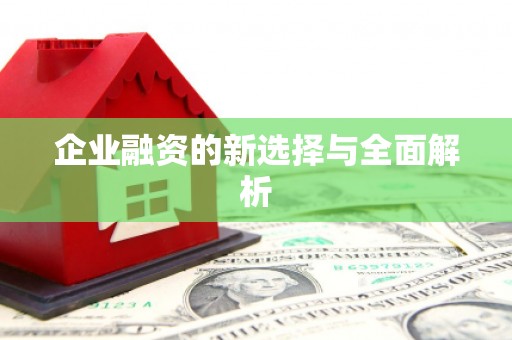 荷塘企业融资的新选择与全面解析