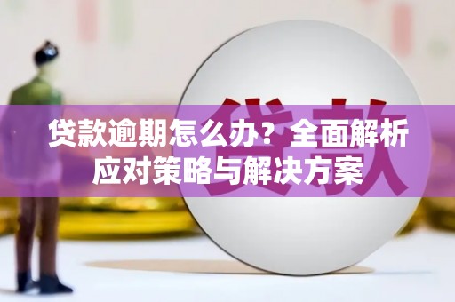 荷塘贷款逾期怎么办？全面解析应对策略与解决方案