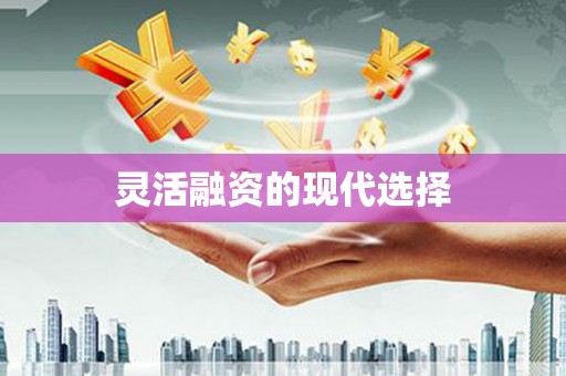 荷塘灵活融资的现代选择
