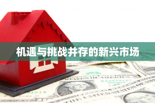 荷塘机遇与挑战并存的新兴市场