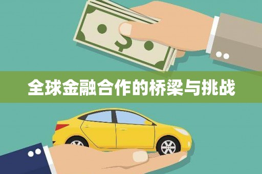 荷塘全球金融合作的桥梁与挑战
