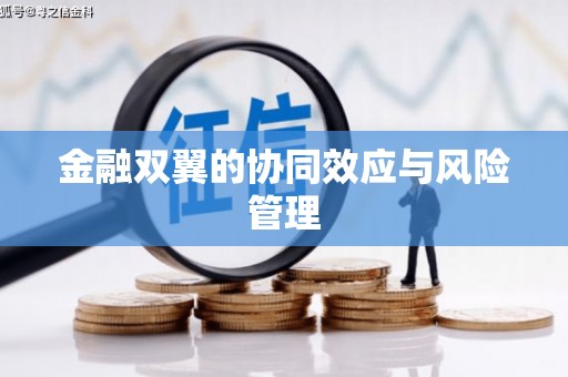 荷塘金融双翼的协同效应与风险管理