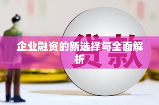 荷塘企业融资的新选择与全面解析