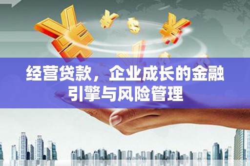 荷塘经营贷款，企业成长的金融引擎与风险管理