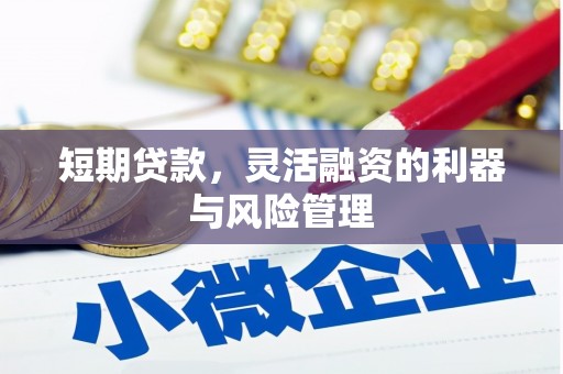 荷塘短期贷款，灵活融资的利器与风险管理