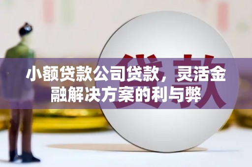 荷塘小额贷款公司贷款，灵活金融解决方案的利与弊