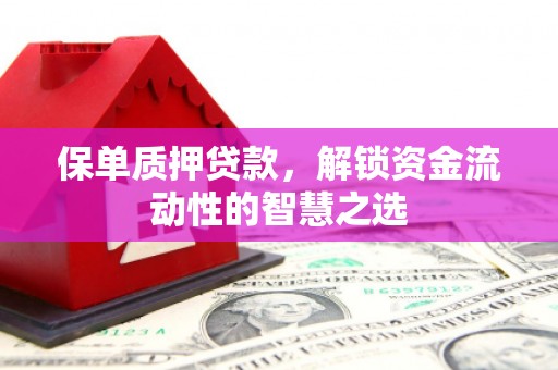荷塘保单质押贷款，解锁资金流动性的智慧之选
