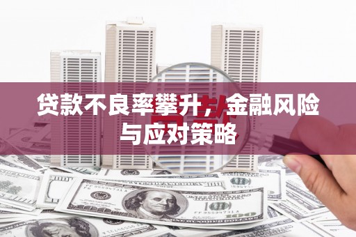 荷塘贷款不良率攀升，金融风险与应对策略