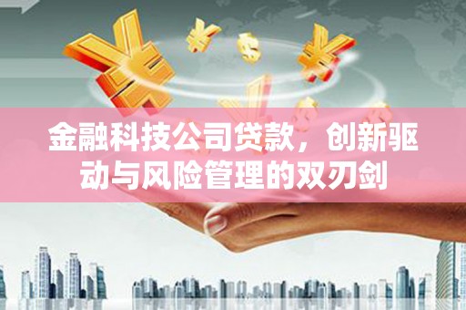 荷塘金融科技公司贷款，创新驱动与风险管理的双刃剑